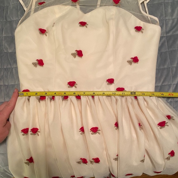 Magnolia Park Vintage Style Tulle Dress with embroidered roses - Picture 6 of 10